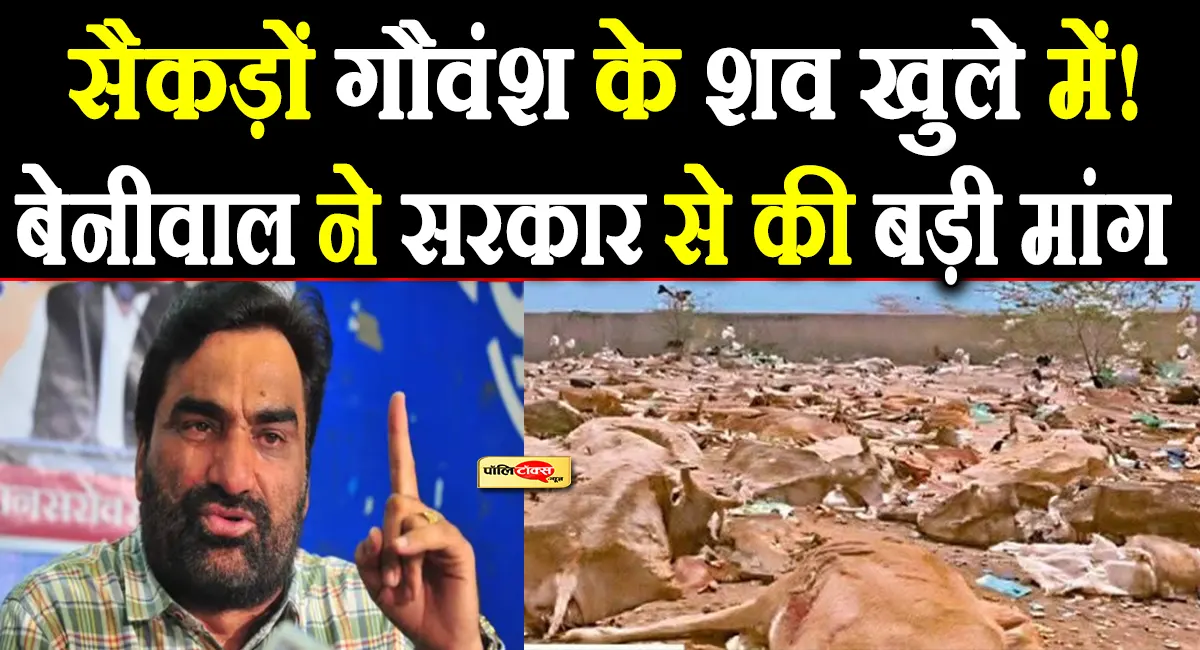 सैकड़ों गौवंश के शव खुले में मिलने पर सांसद हनुमान बेनीवाल का फूटा गुस्सा, कही ये बड़ी बात