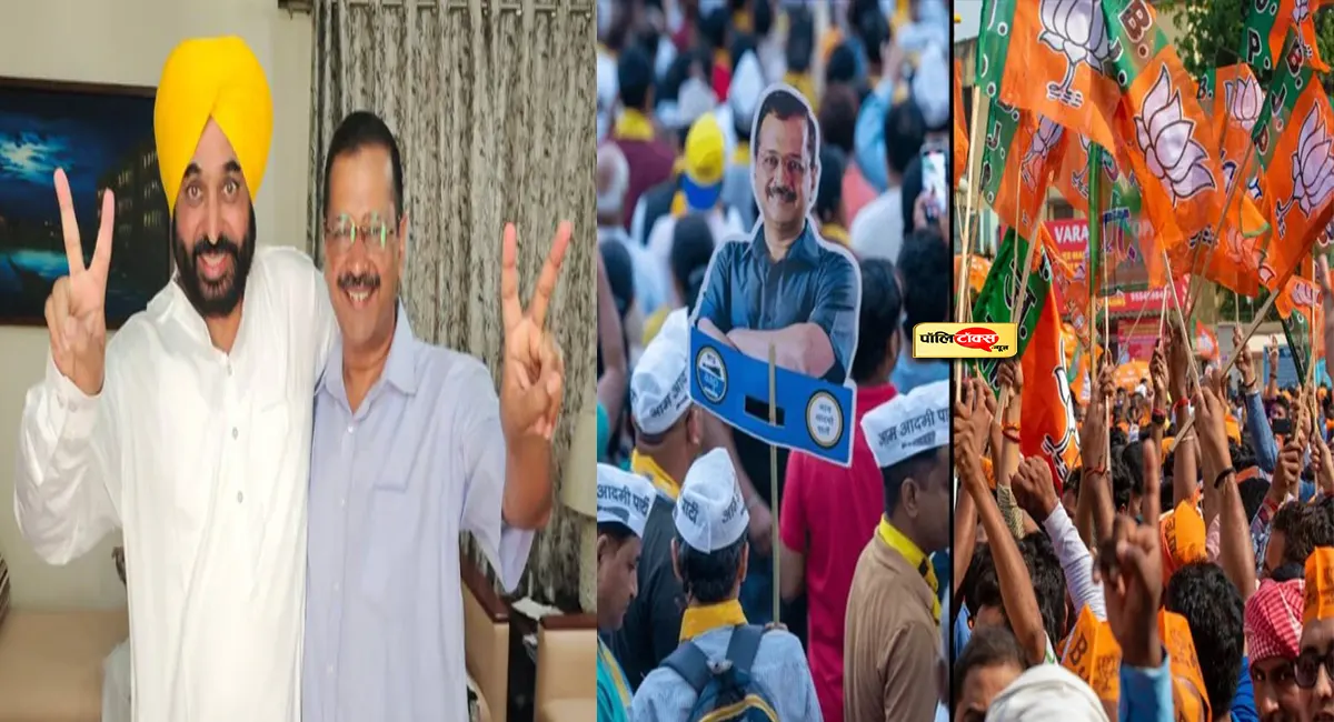पंजाब में 'आप'की बल्ले बल्ले: निकाय चुनावों में बीजेपी के अरमानों पर फिरी 'झाडू'