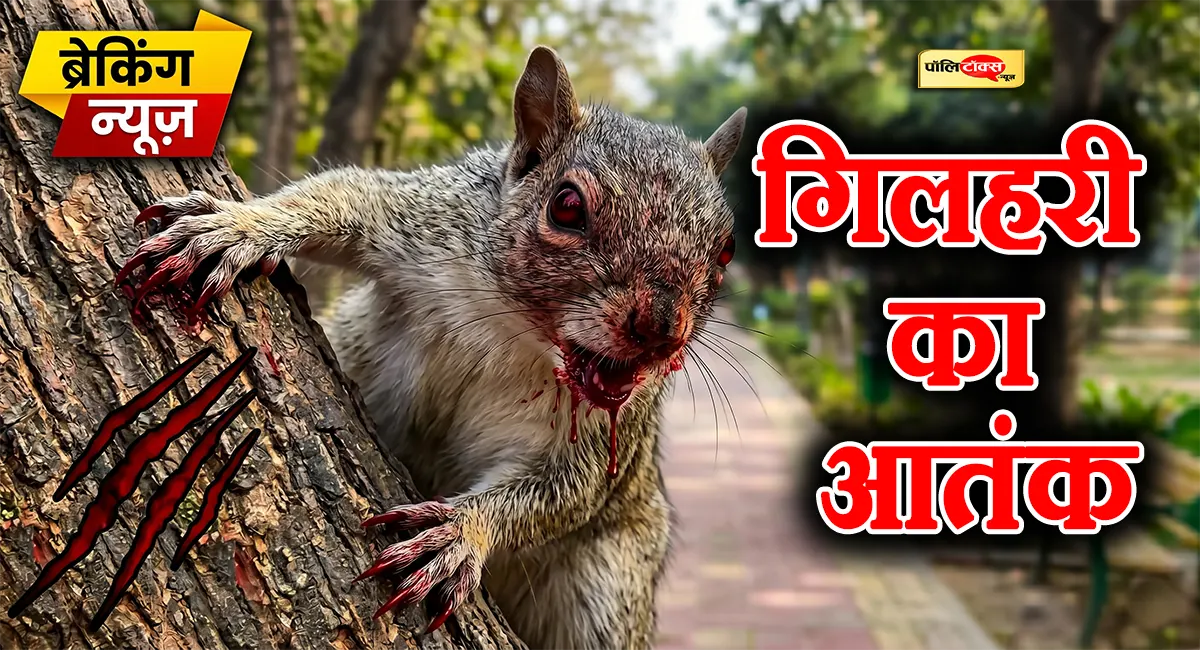कॉलेज में गिलहरी के आतंक से दशहत में छात्र-छात्राएं, 20 से ज्यादा लोगों को किया जख्मी
